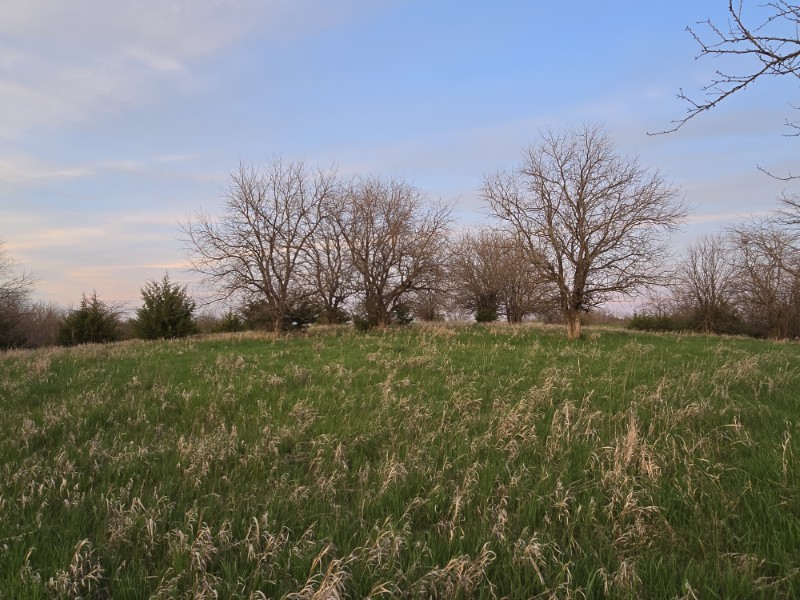 Listing photo 31